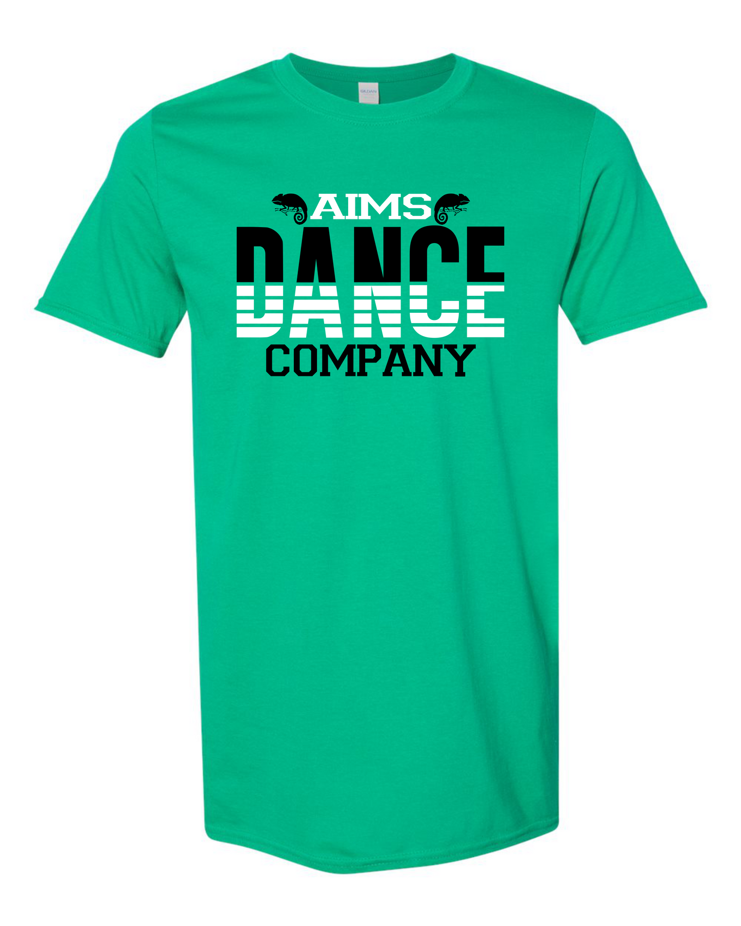 AIMS DANCE COMPANY