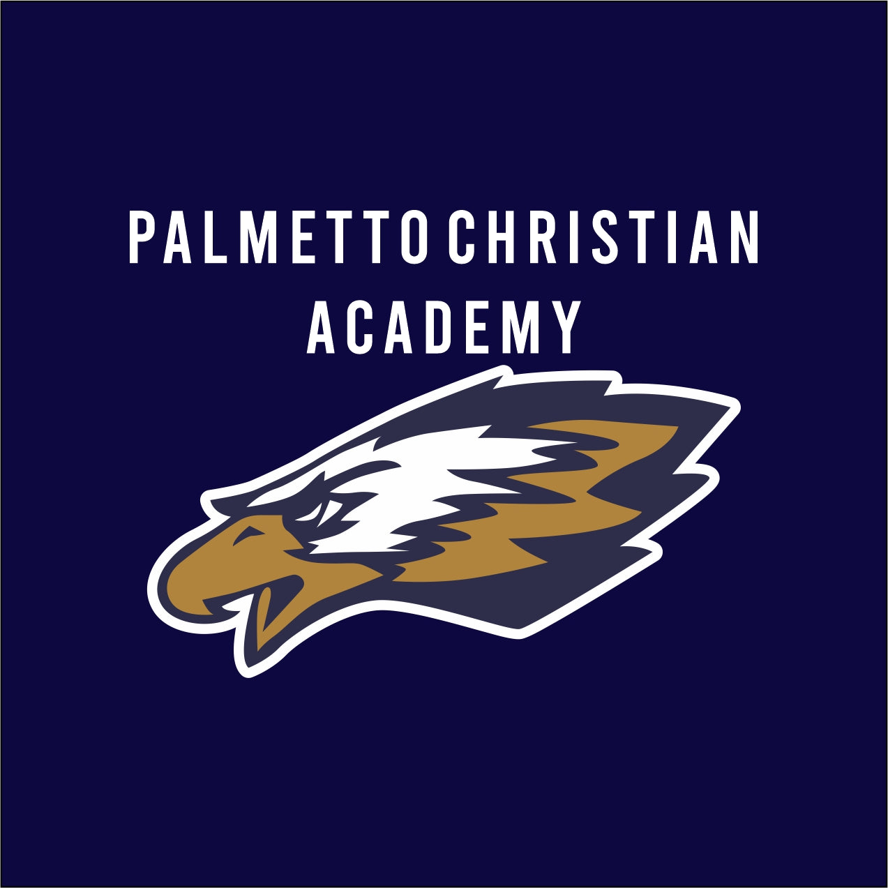 Palmetto Christian Academy