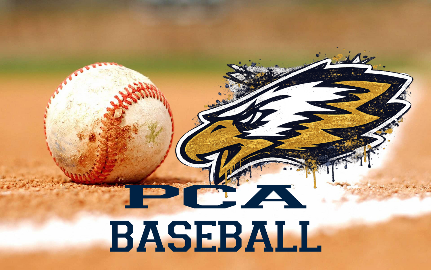 Palmetto Christian Academy Baseball