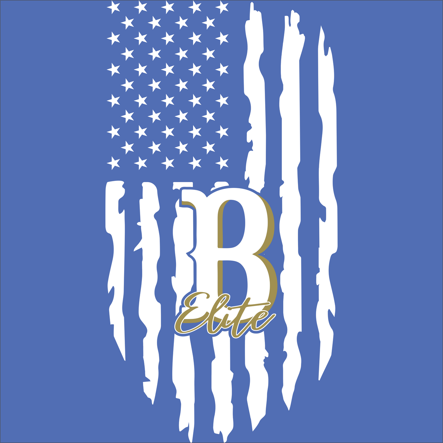 Berkeley Elite Flag with Logo Hoodie **Personalization Available**