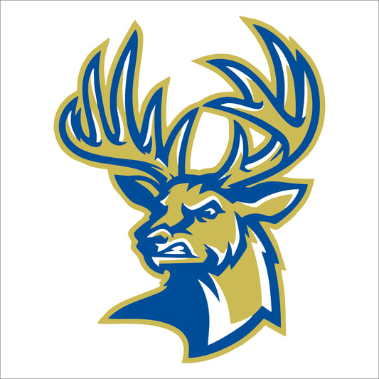 Berkeley Stags Design C Hoodie