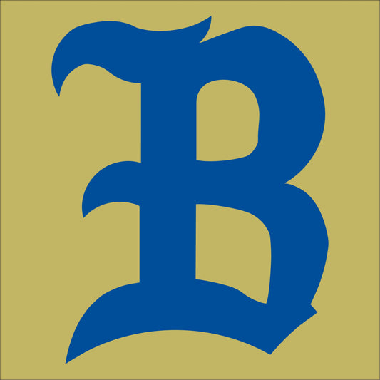 Berkeley Stags Design E Hoodie