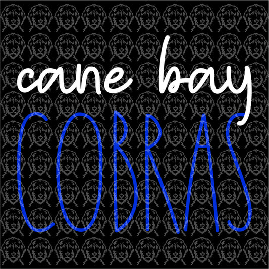 Cane Bay Cobras Design O Hoodie