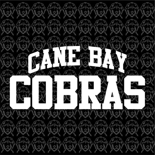 Cane Bay Cobras Design Q Hoodie