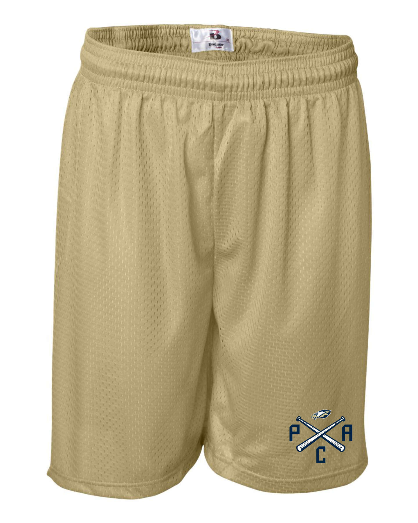 Palmetto Christian Academy Eagles Baseball Mesh Shorts