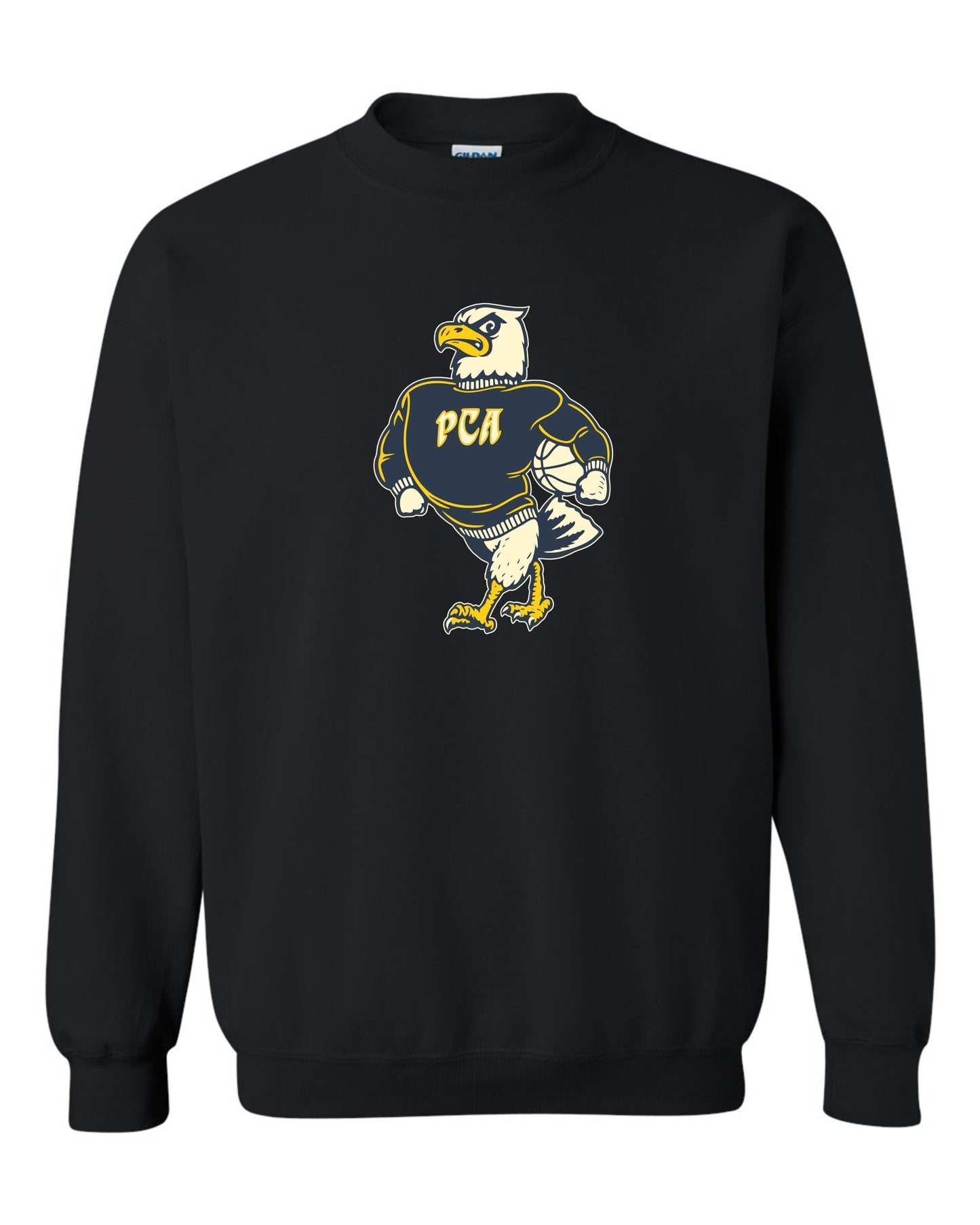 Palmetto Christian Academy Men's Basketball Swag