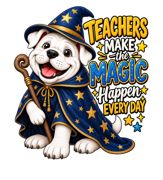 BPA Wizard Teacher